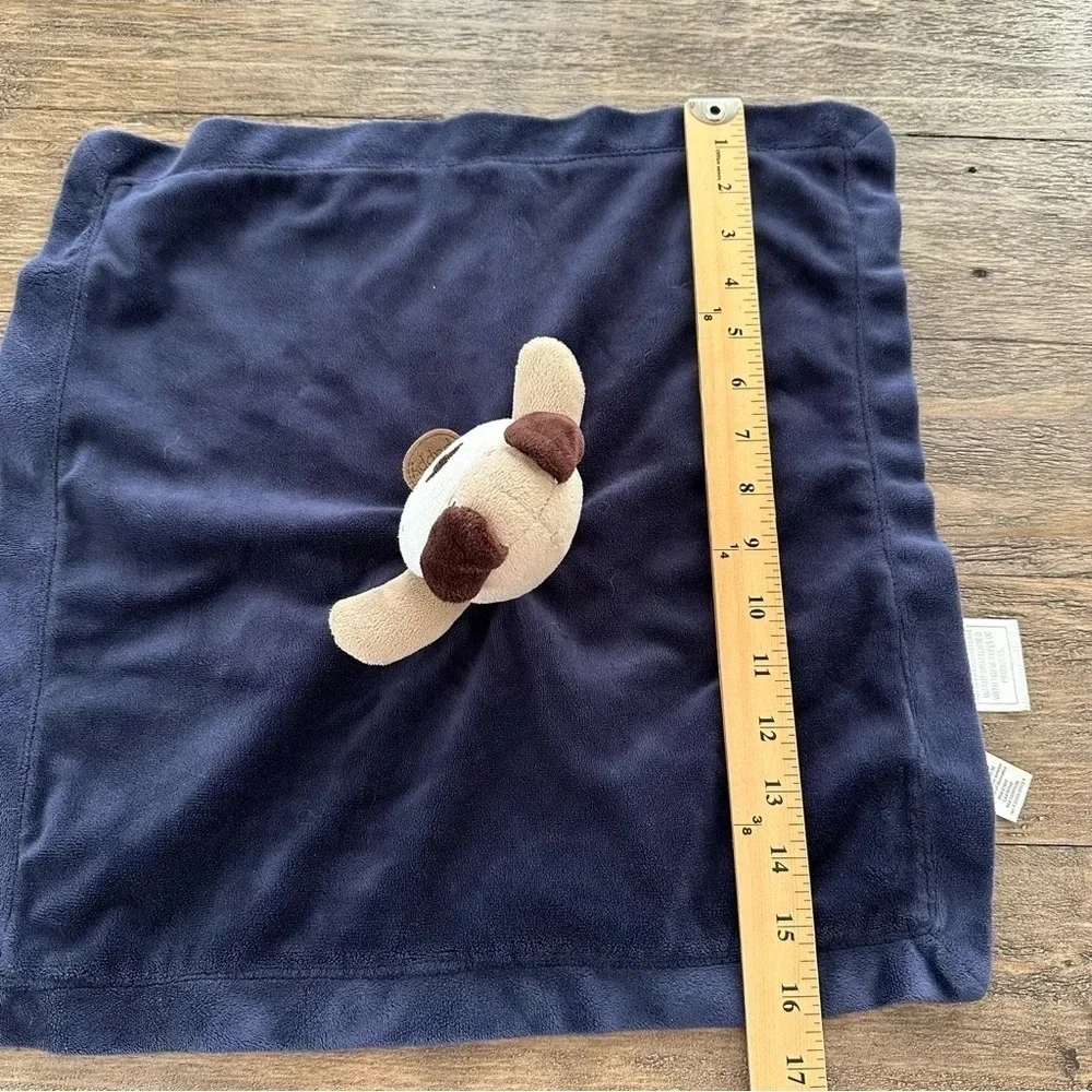 Carters size shown